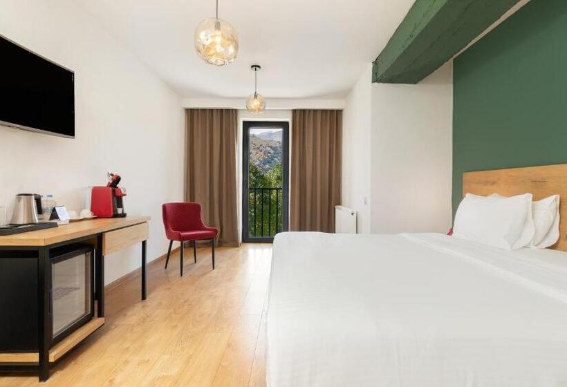 اتاق لوکس با تخت بزرگ, Intourist Kazbegi