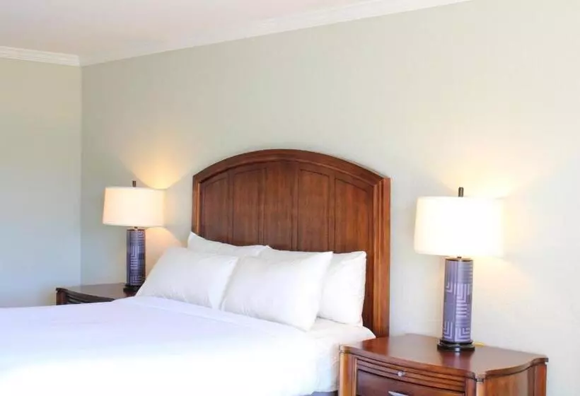 اتاق استاندارد برای معلولان, Cape Cod Irish Village The Emerald Resort