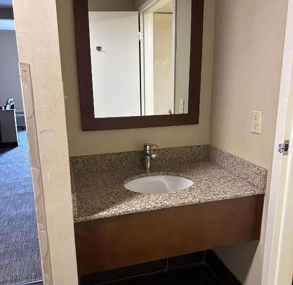 スイート, Vista Suites Near Leconte Convention Center