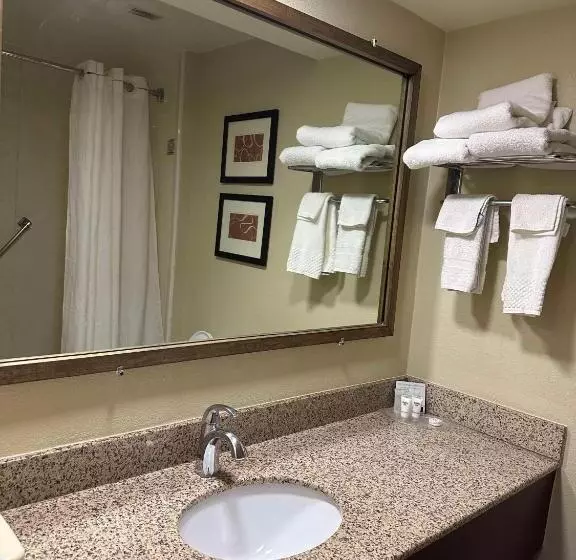 キングサイズベッドのスイートルーム, Vista Suites Near Leconte Convention Center