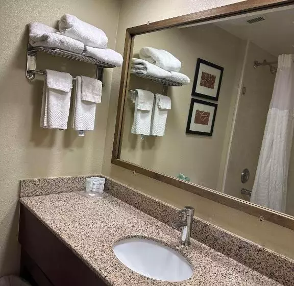 キングサイズベッドのスイートルーム, Vista Suites Near Leconte Convention Center