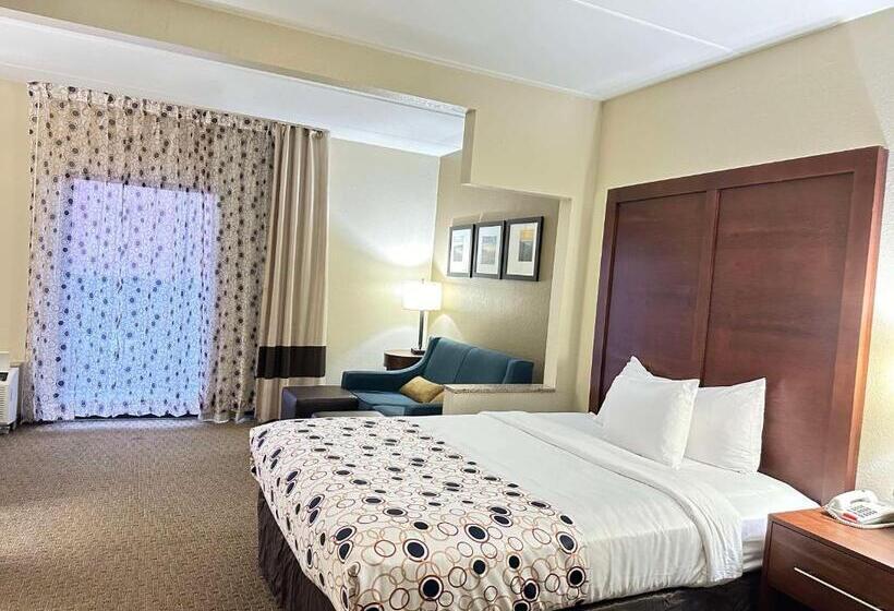 جناح سرير كينج, Vista Suites Near Leconte Convention Center