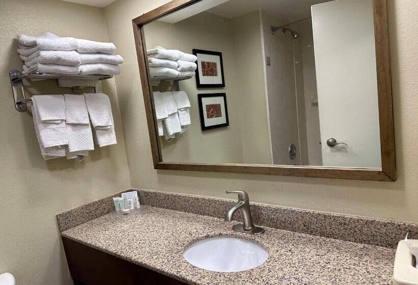 جناح لذوى الاحتياجات الخاصة, Vista Suites Near Leconte Convention Center