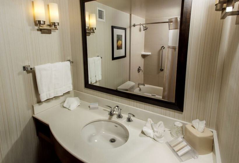 غرفه قياسيه سريرين مزدوجين, Hilton Garden Inn New York / Staten Island
