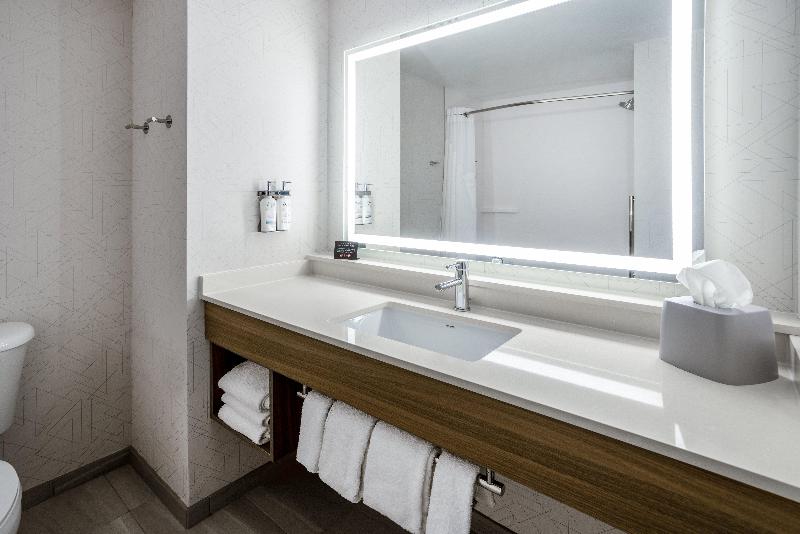 Standart Oda, Holiday Inn Express And Suites Tampa I 75 At Bruce B. Downs, An Ihg