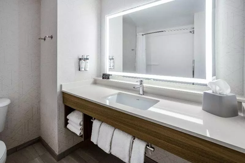 スタンダードルーム, Holiday Inn Express And Suites Tampa I 75 At Bruce B. Downs, An Ihg