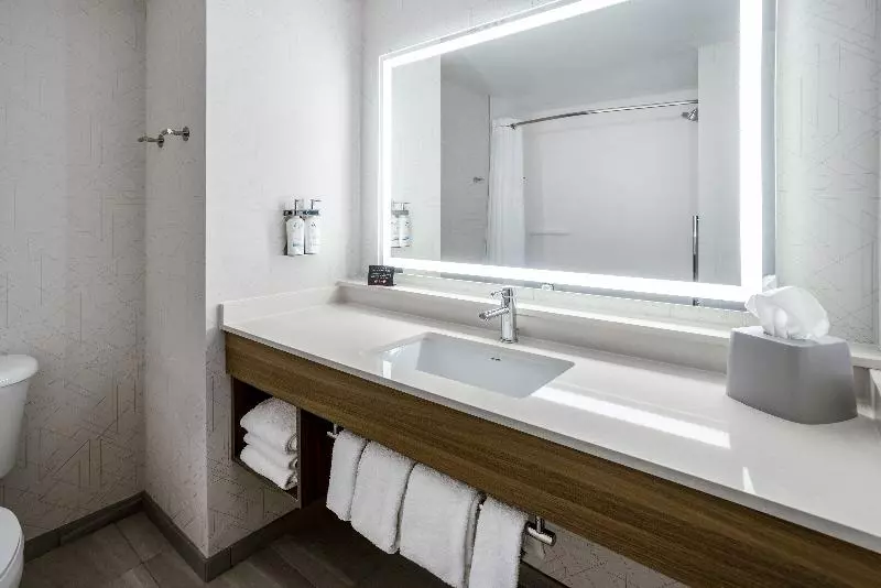 スタンダードルーム, Holiday Inn Express And Suites Tampa I 75 At Bruce B. Downs, An Ihg