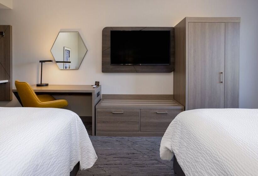 غرفه قياسيه سريرين مزدوجين, Holiday Inn Express And Suites Tampa I 75 At Bruce B. Downs, An Ihg