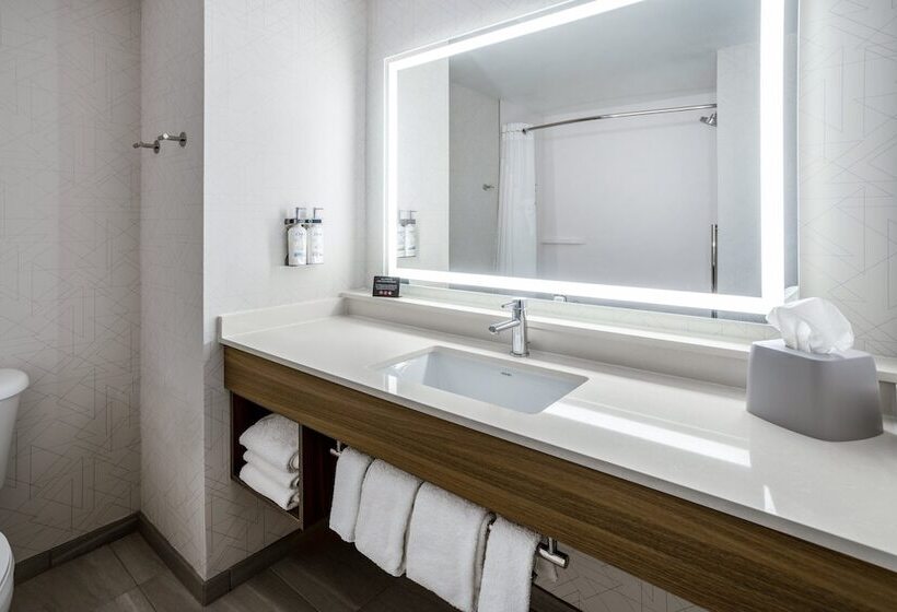 Süit, Holiday Inn Express And Suites Tampa I 75 At Bruce B. Downs, An Ihg