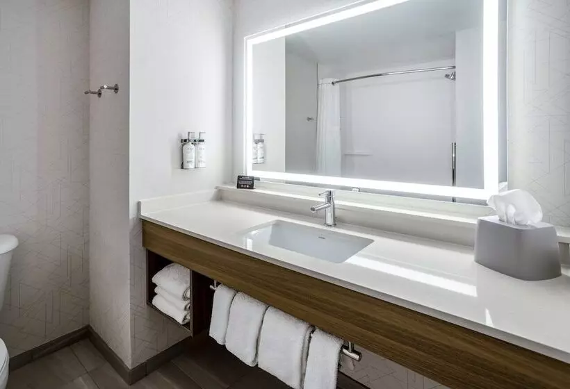 スイート, Holiday Inn Express And Suites Tampa I 75 At Bruce B. Downs, An Ihg