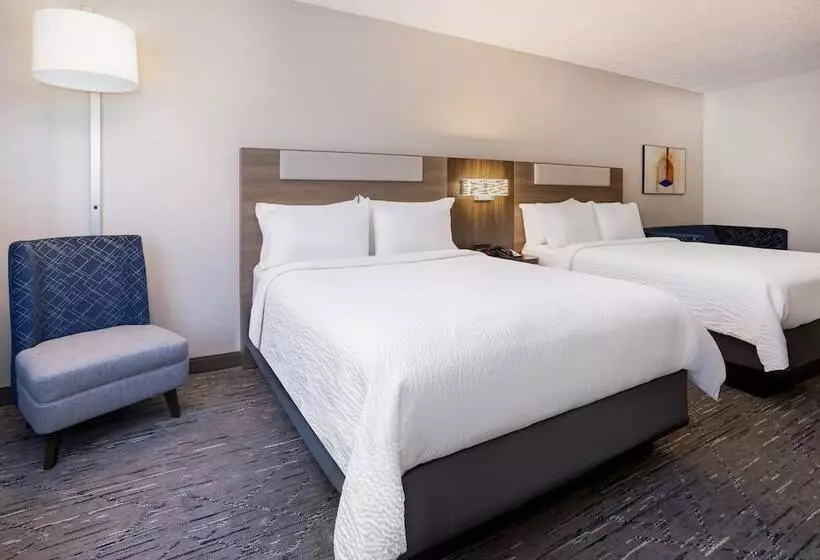 スイート, Holiday Inn Express And Suites Tampa I 75 At Bruce B. Downs, An Ihg