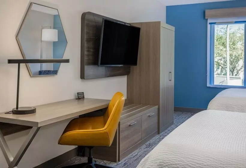 スイート, Holiday Inn Express And Suites Tampa I 75 At Bruce B. Downs, An Ihg