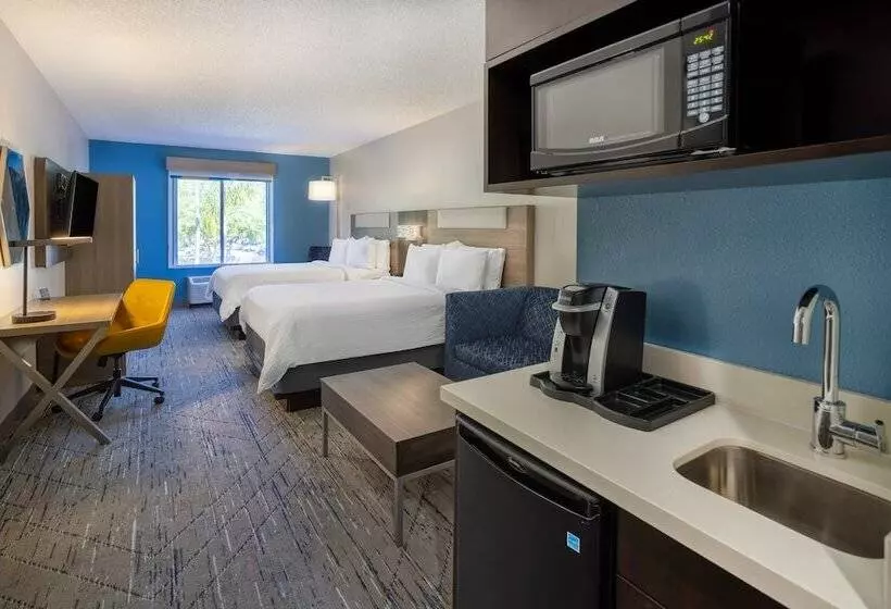 スイート, Holiday Inn Express And Suites Tampa I 75 At Bruce B. Downs, An Ihg
