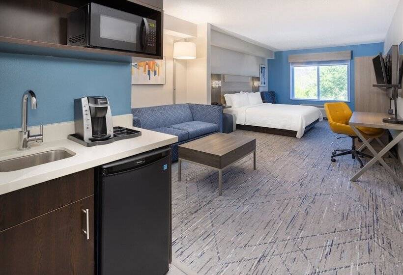 Süit, Holiday Inn Express And Suites Tampa I 75 At Bruce B. Downs, An Ihg