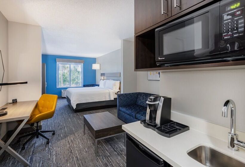 Süit, Holiday Inn Express And Suites Tampa I 75 At Bruce B. Downs, An Ihg