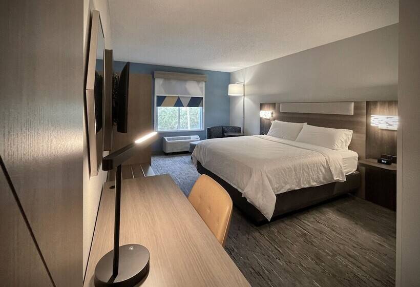 Standart Oda, Holiday Inn Express And Suites Tampa I 75 At Bruce B. Downs, An Ihg