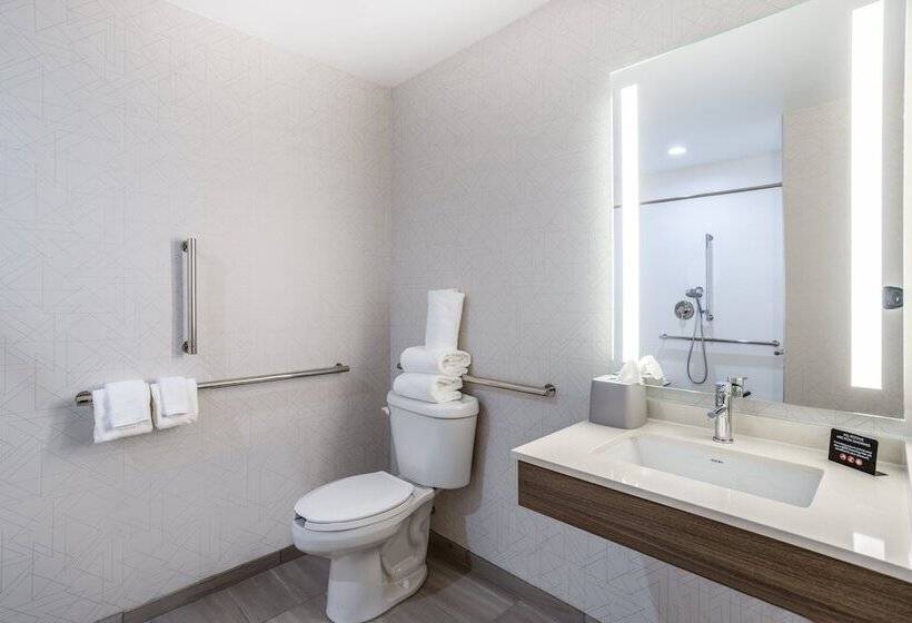 İki Çift Kişilik Yataklı Standart Oda, Holiday Inn Express And Suites Tampa I 75 At Bruce B. Downs, An Ihg