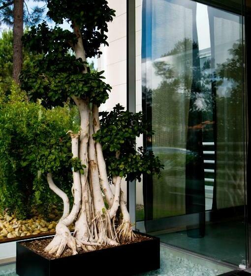 발코니가 있는 스위트, Miravillas