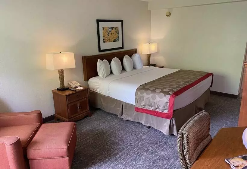 اتاق پرمیوم, Ramada By Wyndham Albuquerque Midtown
