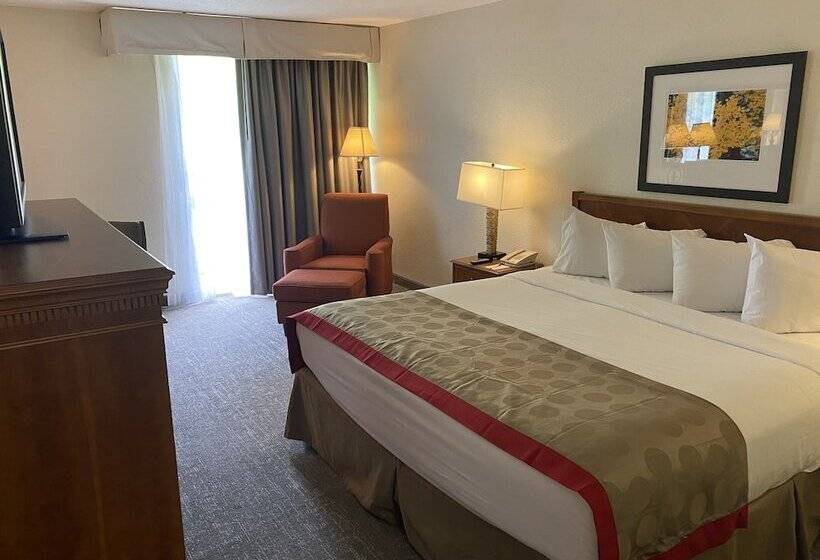 ダブルベッドスタンダードルーム, Ramada By Wyndham Albuquerque Midtown