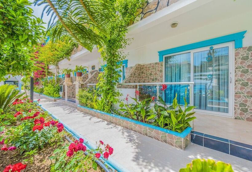 스탠다드 트리플 룸, Side Sunberk