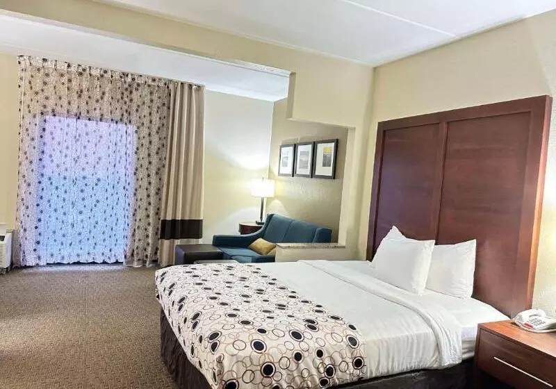 キングサイズベッドのスイートルーム, Vista Suites Near Leconte Convention Center