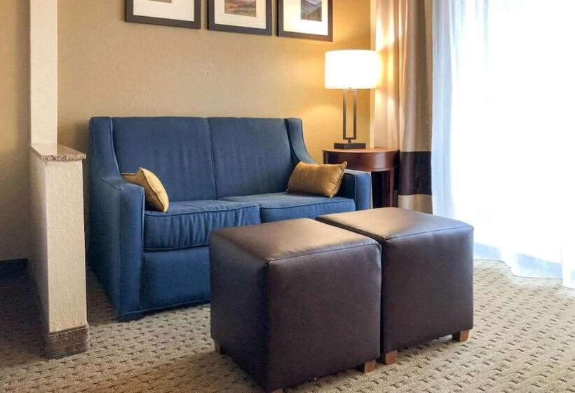 Люкс, Vista Suites Near Leconte Convention Center
