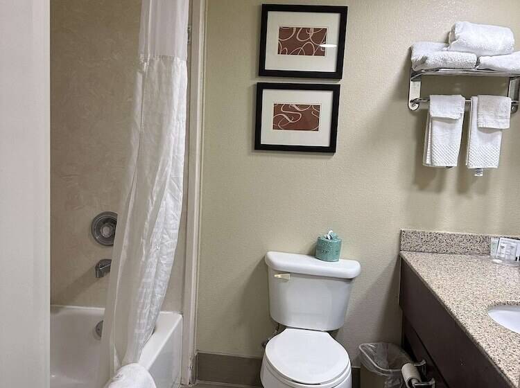 Люкс, Vista Suites Near Leconte Convention Center