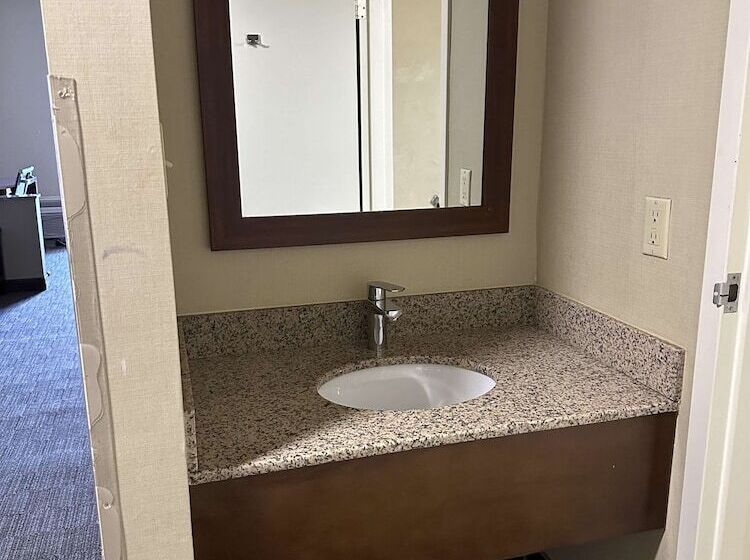 Люкс Адаптированный для Инвалидов, Vista Suites Near Leconte Convention Center