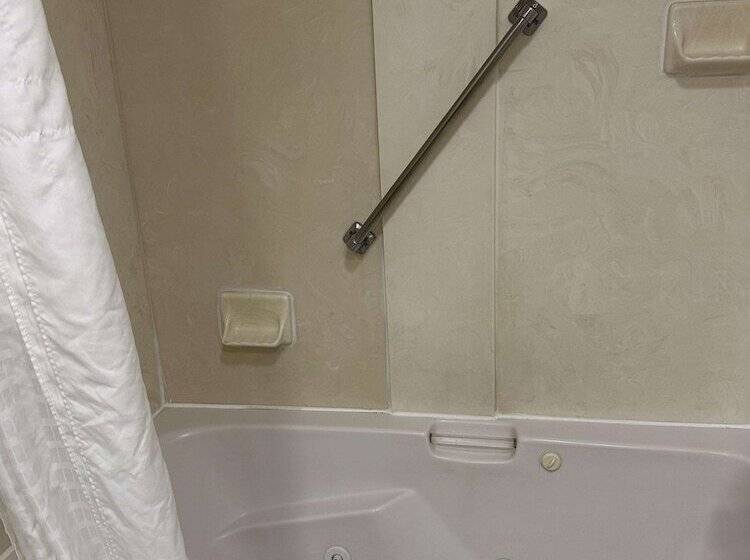 جناح لذوى الاحتياجات الخاصة, Vista Suites Near Leconte Convention Center