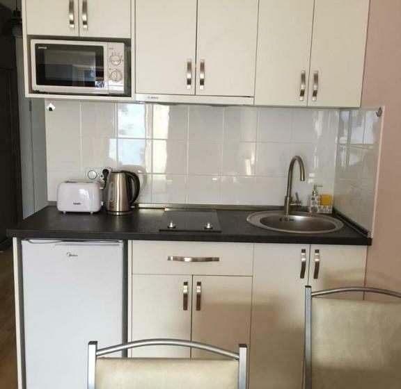 آپارتمان 1 خوابه با چشمانداز, New Gudauri Lofts By Gudauri Travel