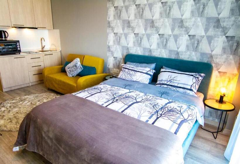 آپارتمان 1 خوابه با تراس, New Gudauri Lofts By Gudauri Travel