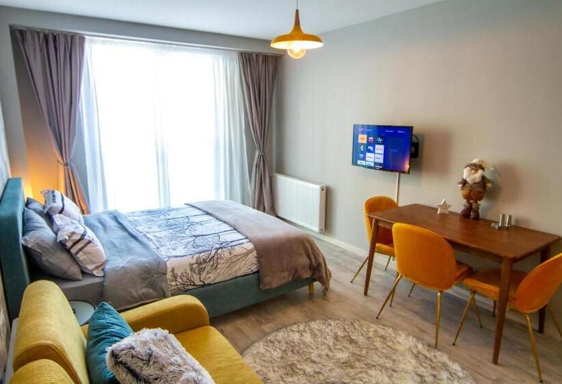 آپارتمان 1 خوابه با تراس, New Gudauri Lofts By Gudauri Travel