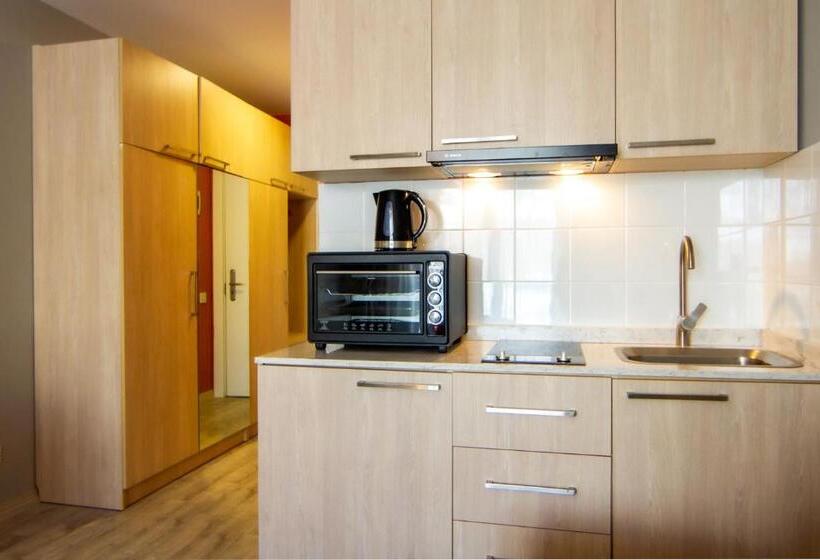 آپارتمان 1 خوابه با تراس, New Gudauri Lofts By Gudauri Travel