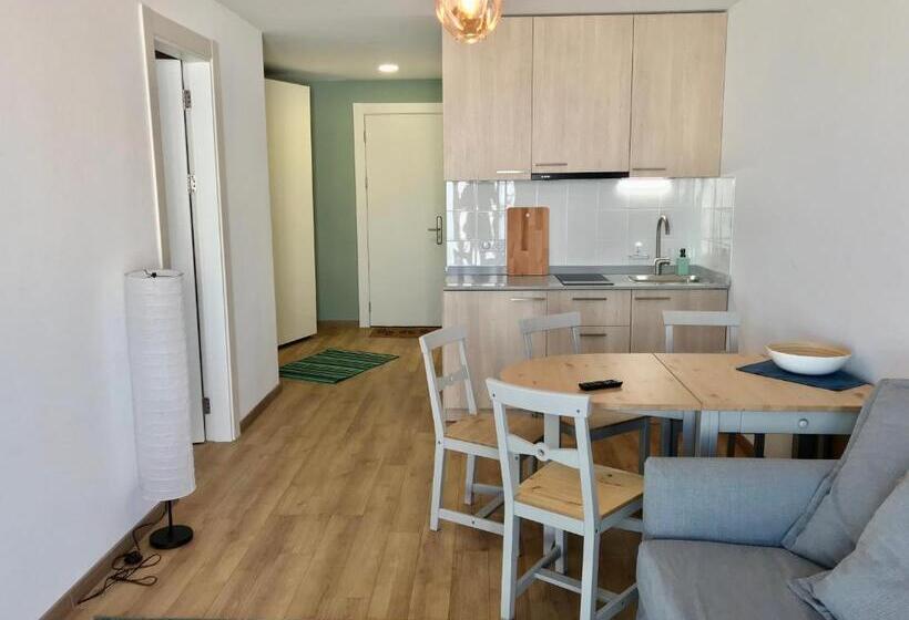 آپارتمان 1 خوابه با چشمانداز, New Gudauri Lofts By Gudauri Travel