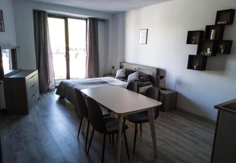 استودیوی استاندارد, New Gudauri Lofts By Gudauri Travel