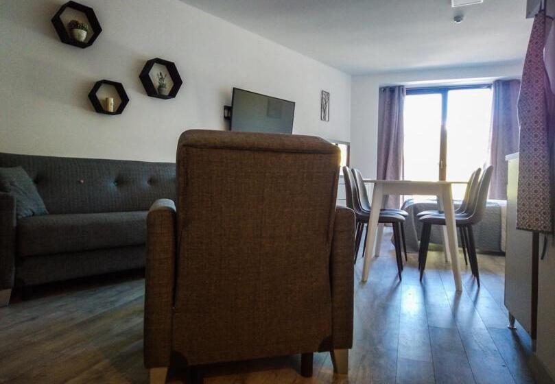 استودیوی استاندارد, New Gudauri Lofts By Gudauri Travel