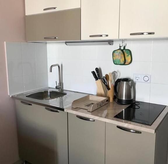 استودیوی استاندارد, New Gudauri Lofts By Gudauri Travel