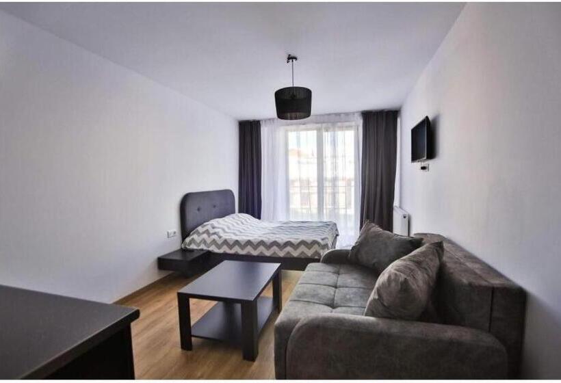 استودیوی استاندارد, New Gudauri Lofts By Gudauri Travel