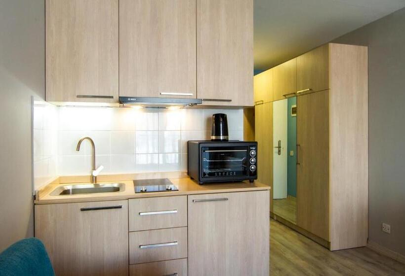 آپارتمان 1 خوابه با تراس, New Gudauri Lofts By Gudauri Travel