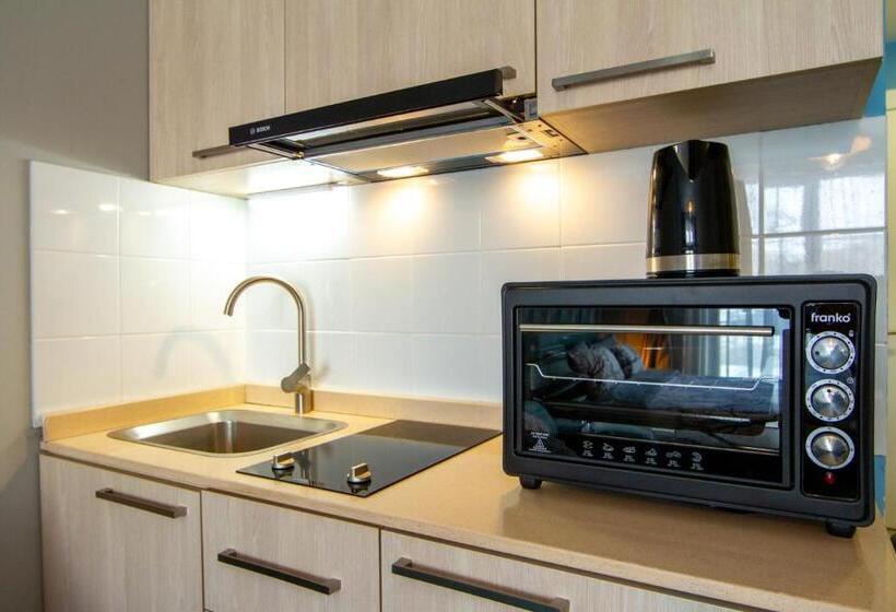 آپارتمان 1 خوابه با تراس, New Gudauri Lofts By Gudauri Travel