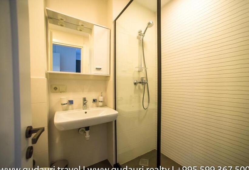 آپارتمان لوکس 1 خوابه, New Gudauri Lofts By Gudauri Travel