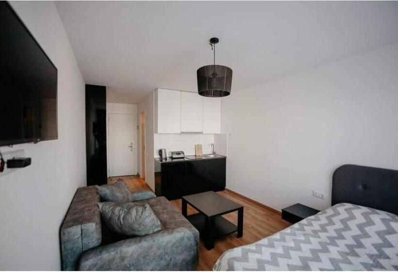 استودیوی استاندارد, New Gudauri Lofts By Gudauri Travel