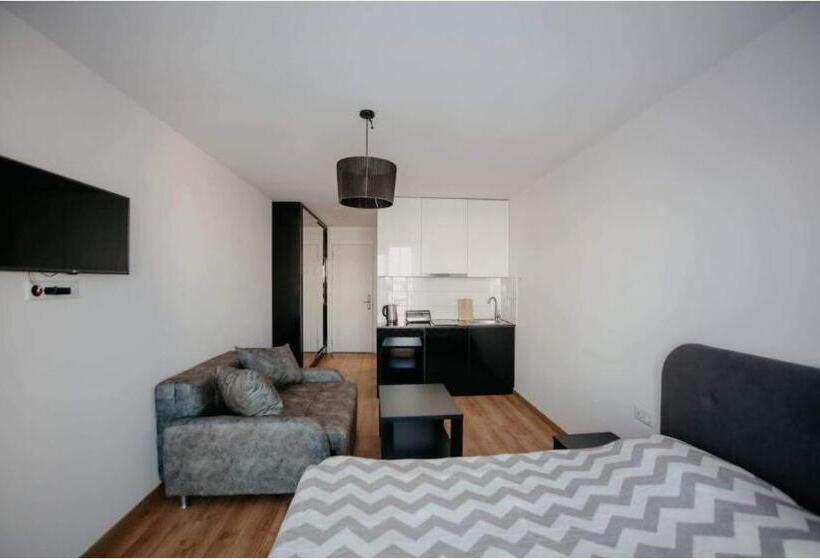 استودیوی استاندارد, New Gudauri Lofts By Gudauri Travel