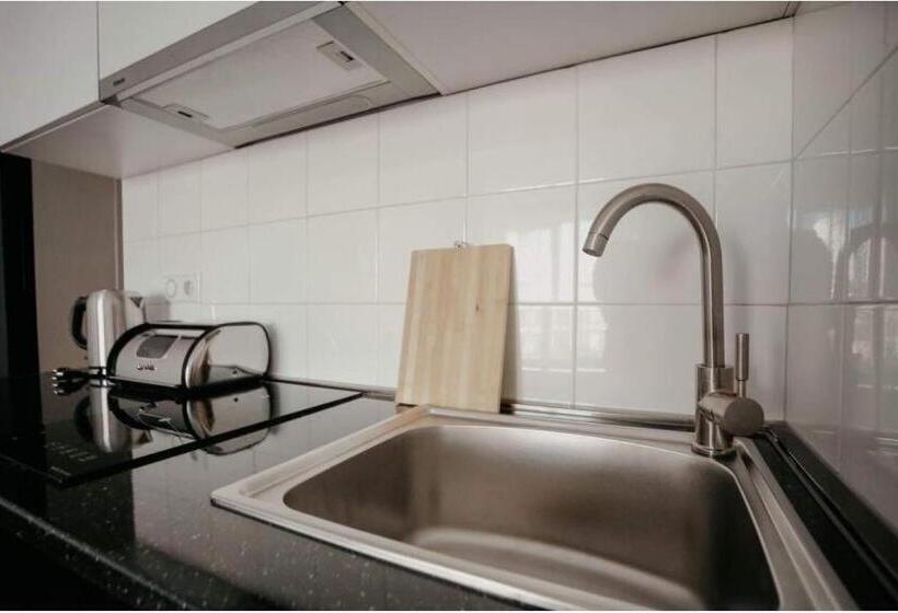 استودیوی استاندارد, New Gudauri Lofts By Gudauri Travel