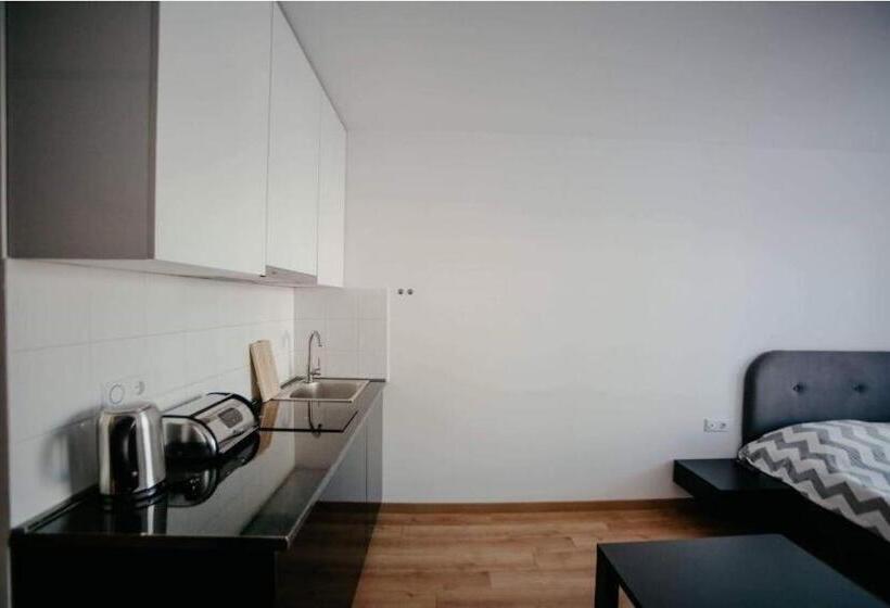 استودیوی استاندارد, New Gudauri Lofts By Gudauri Travel