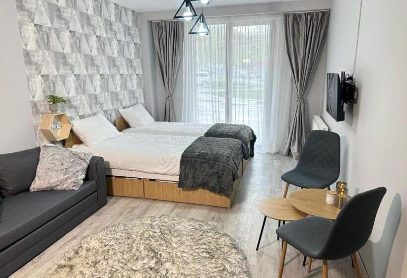 آپارتمان 1 خوابه با تراس, New Gudauri Lofts By Gudauri Travel