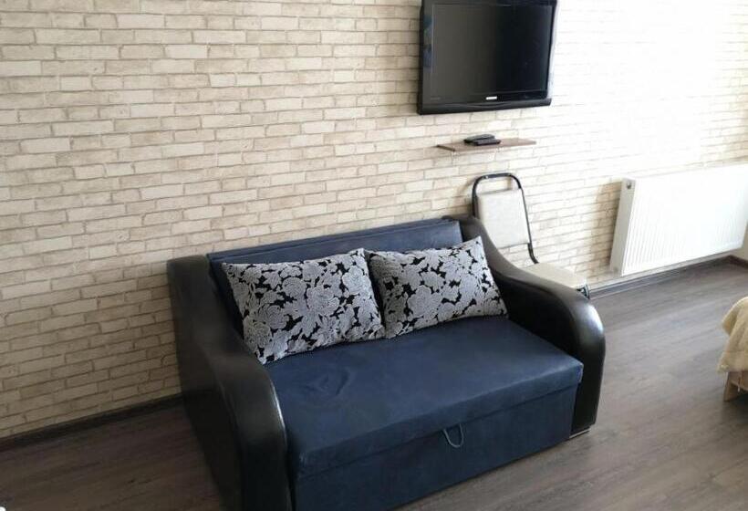 استودیوی استاندارد, New Gudauri Lofts By Gudauri Travel