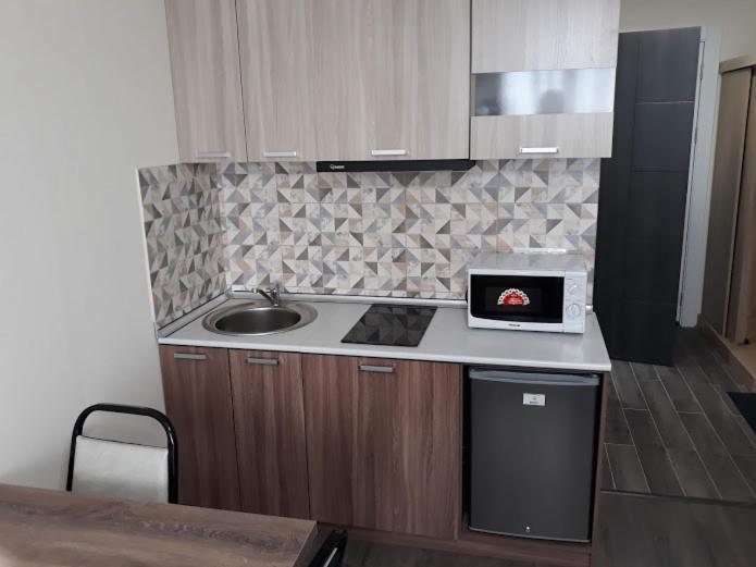 استودیوی استاندارد, New Gudauri Lofts By Gudauri Travel