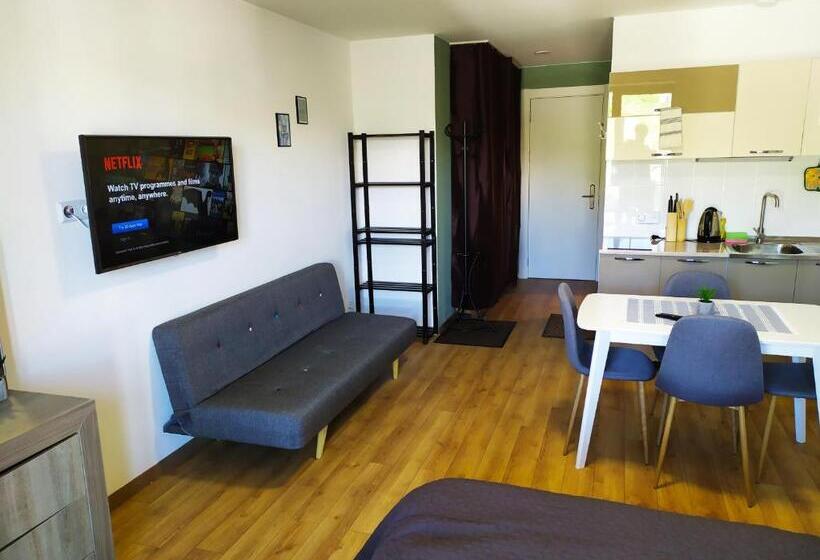 استودیو خانوادگی, New Gudauri Lofts By Gudauri Travel